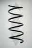SPIDAN 55748 Coil Spring